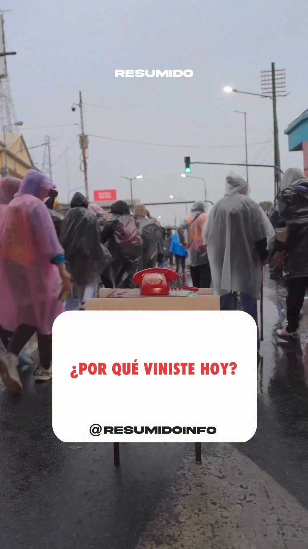 ¿Por qué fueron a la peregrinación de Luján?