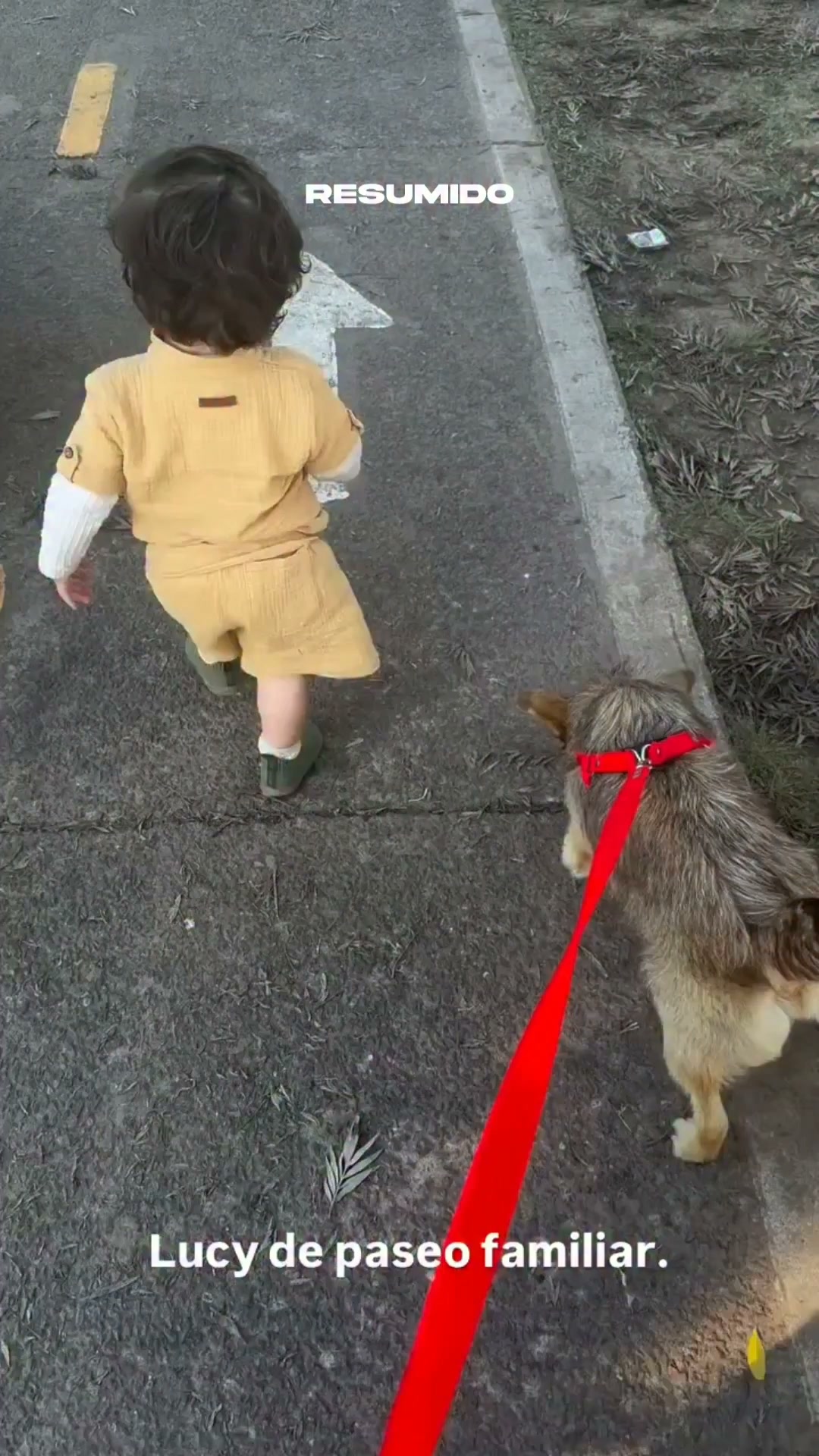 Jimena Barón subió este video de su hijo Arturo yendo de paseo
