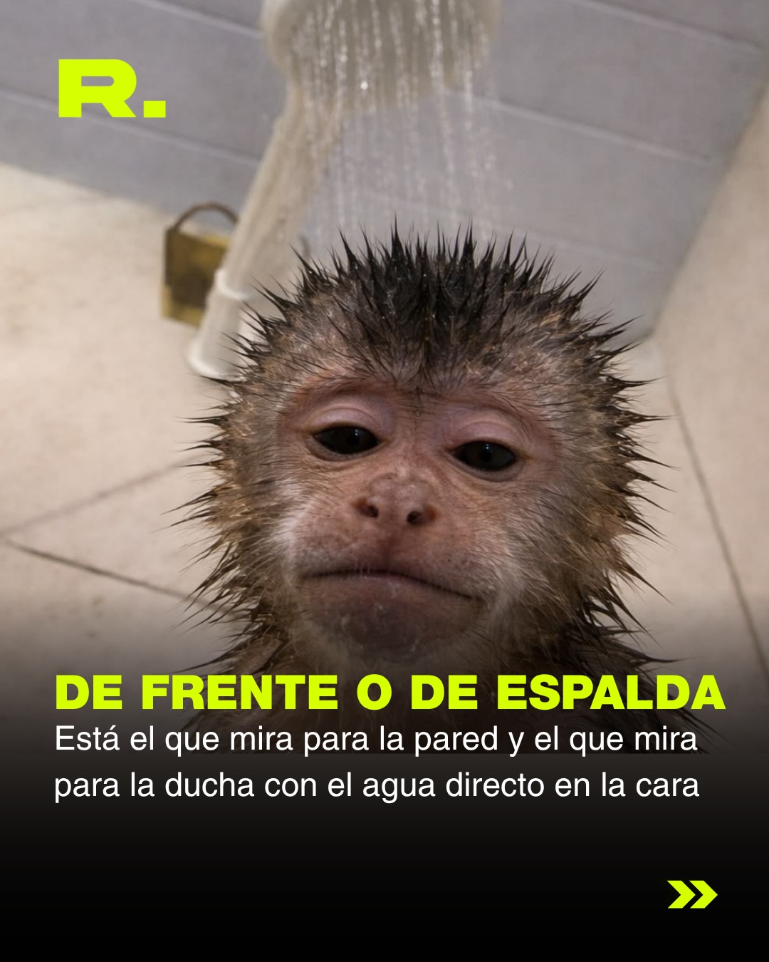 🚿 TODOS SOMOS ALGUNO DE ESTOS (2/6)