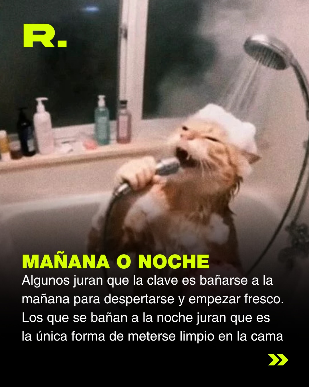 🚿 TODOS SOMOS ALGUNO DE ESTOS (3/6)