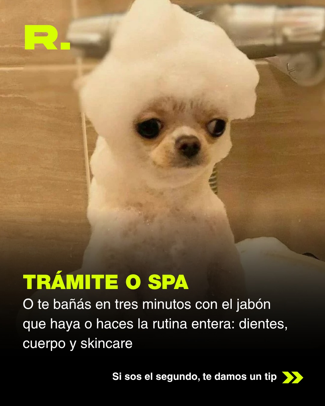 🚿 TODOS SOMOS ALGUNO DE ESTOS (4/6)