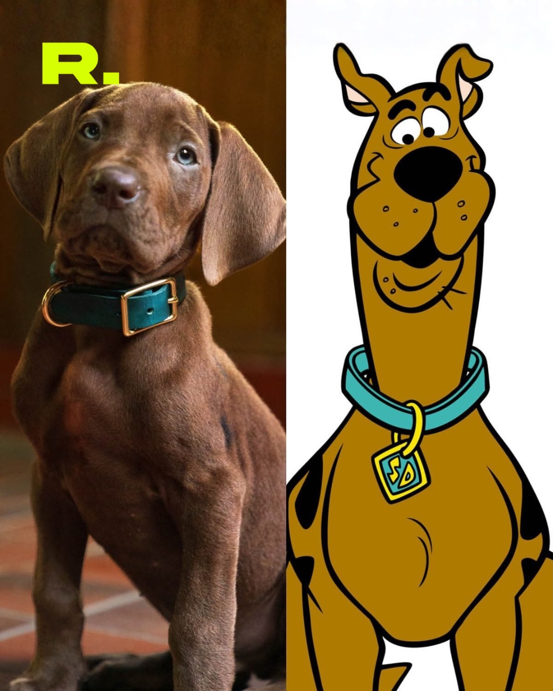 🐕 ¿SCOOBY METIÓ GLOW UP? (2/2)