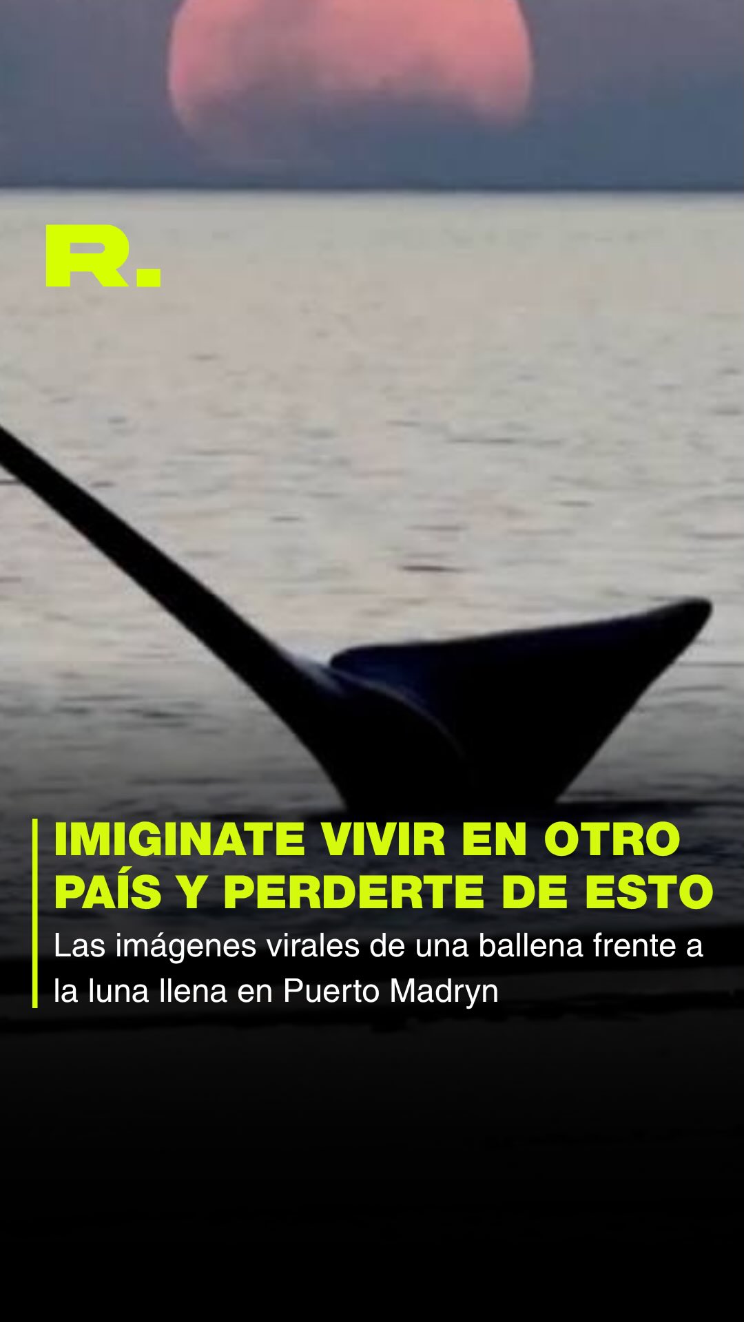 🥹 QUÉ PAISAJE DE LUJO