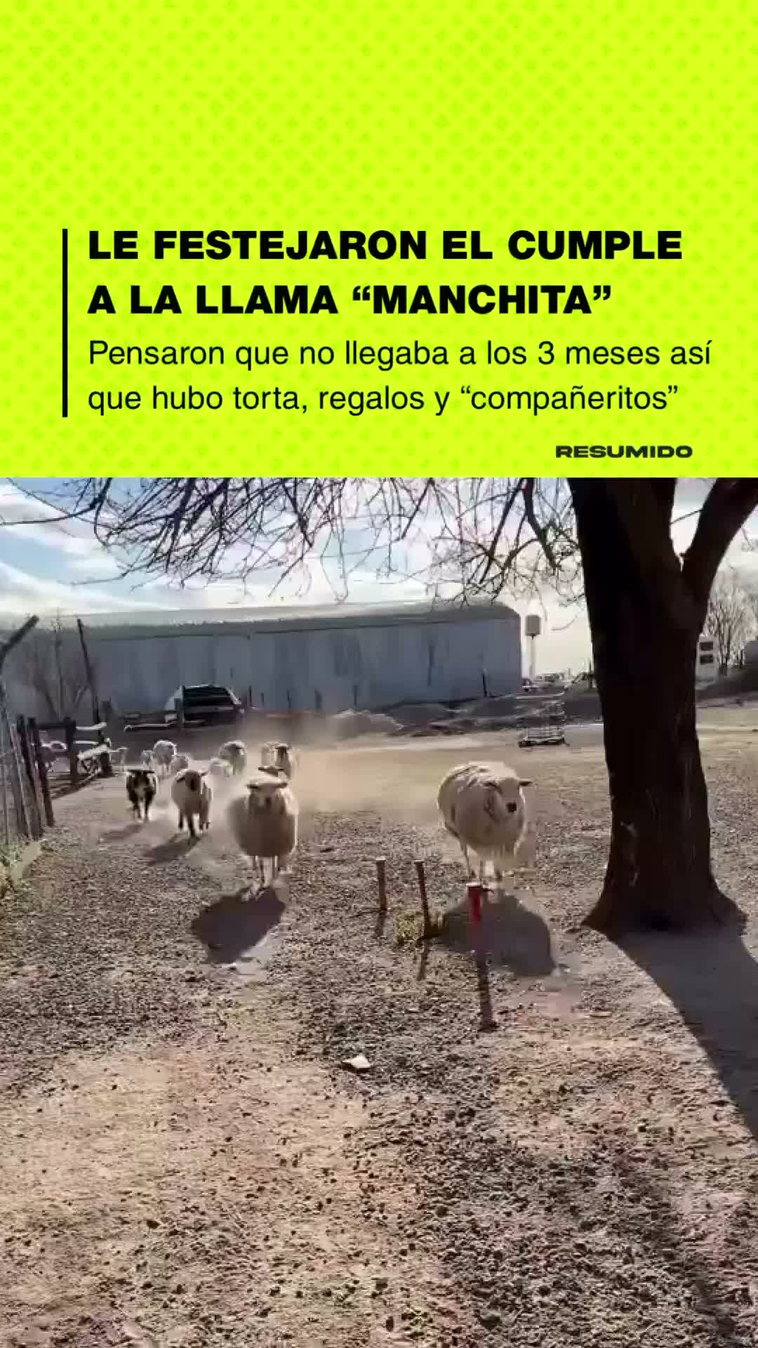 🥹FELIZ CUMPLE MANCHITAAA