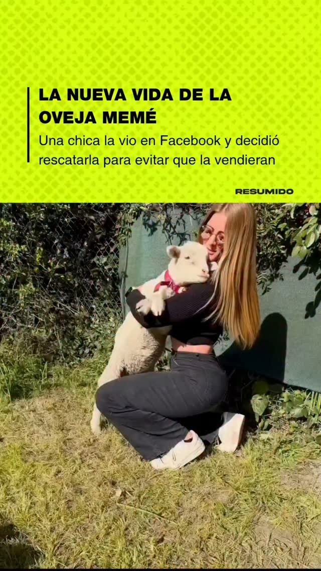 "TE AMO MEMÉ" 🐑