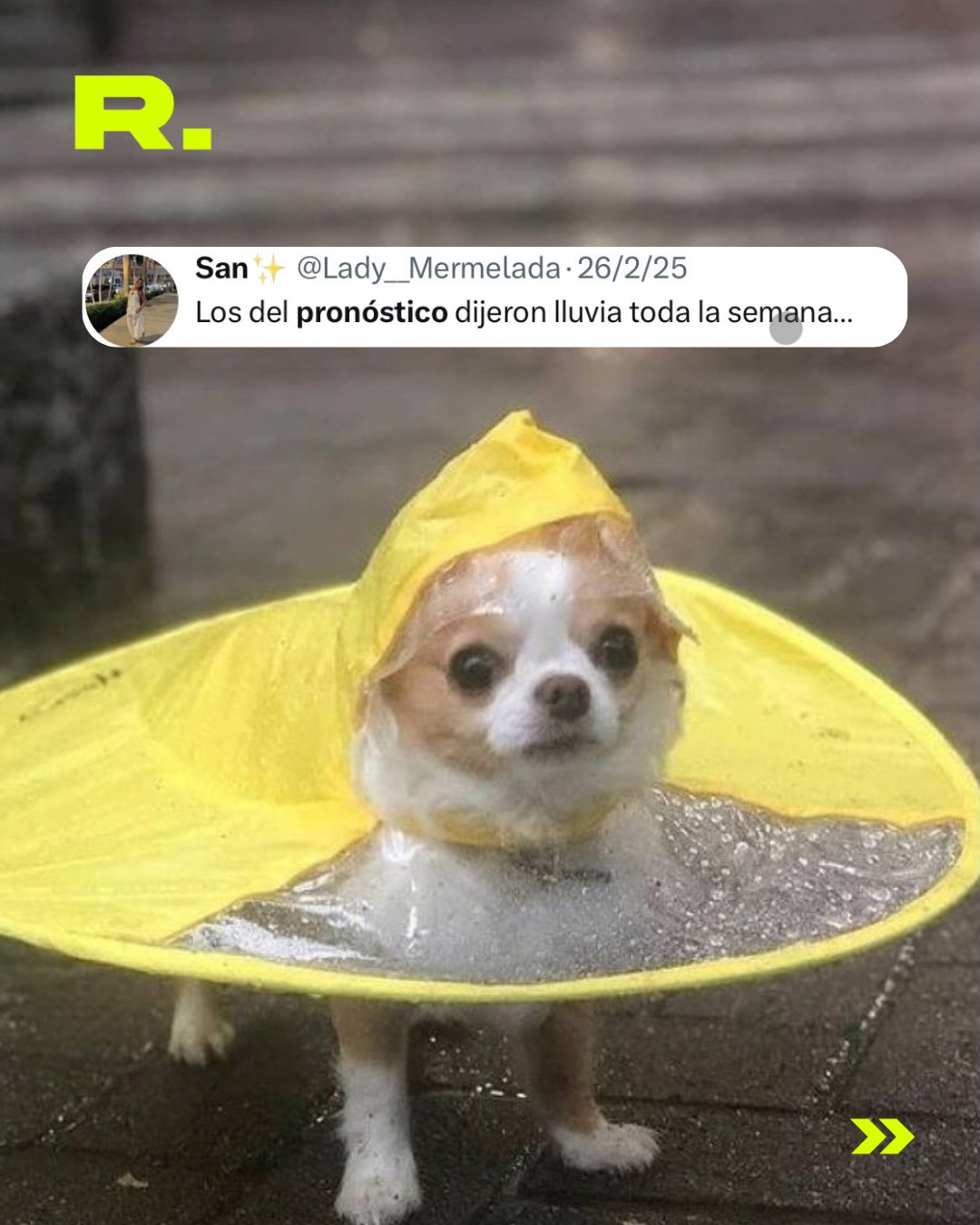 🌧️ LA PRIMAVERA VIENE CON DELAY (4/7)