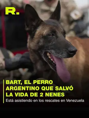 🐶 EL PERRO ARGENTINO QUE SALVÓ A DOS NENES EN VENEZUELA🐾