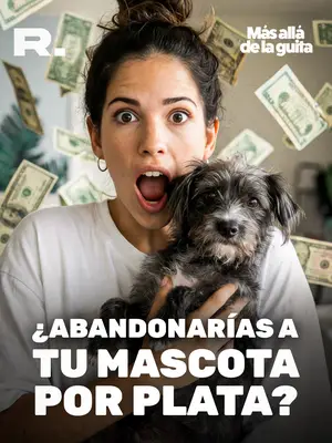 ¿CANDE MOLFESE ABANDONARÍA A ALMENDRA?