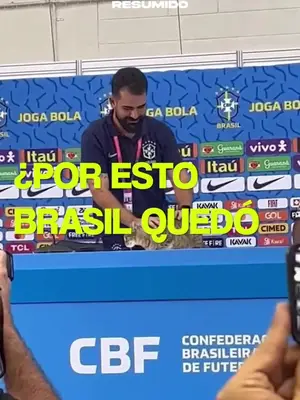 BRASIL QUEDÓ AFUERA DEL MUNDIAL, ¿SIGUE LA MALDICIÓN DEL GATO?