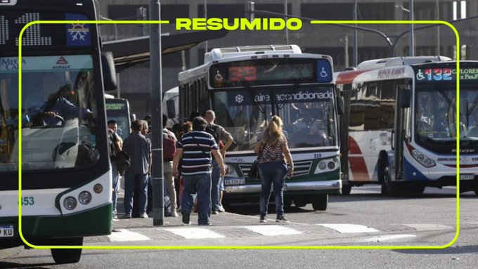 Desde el próximo viernes 19 de junio, las personas con discapacidad tendrán un 100% de descuento en colectivos y trenes
