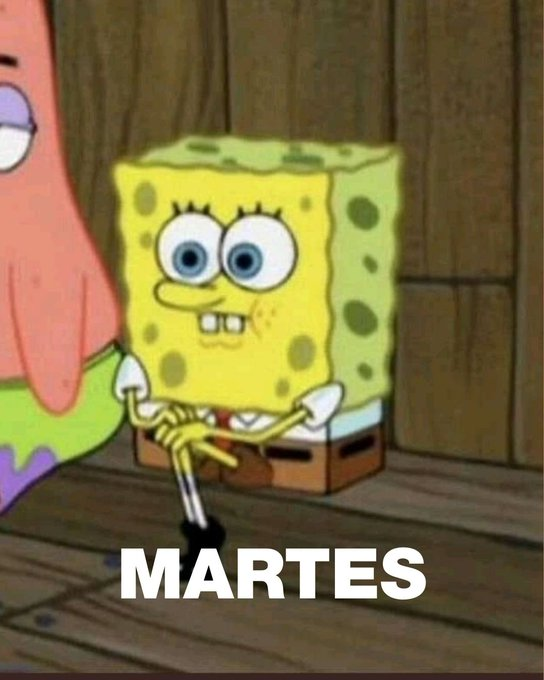 Martes que se siente como viernes 

Te resumimos las noticias del día 👇