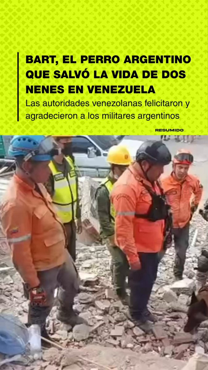 Bart, es el perro argentino que salvó a dos nenes en Venezuela  

Las autoridades venezolanas reconocieron y agradecieron el enorme trabajo de Bart y de todo el equipo militar argentino 🇦🇷