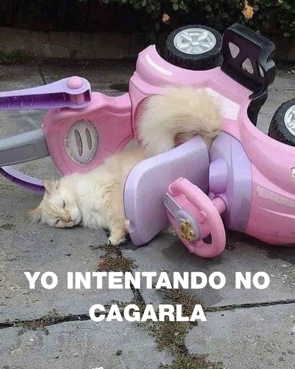 Lo más importante: lo que pase durante estas semanas podría definir cómo se desarrollan los próximos 7 meses de tu vida. Sí, así de importante. No es momento de actuar impulsivamente. Es momento de pr