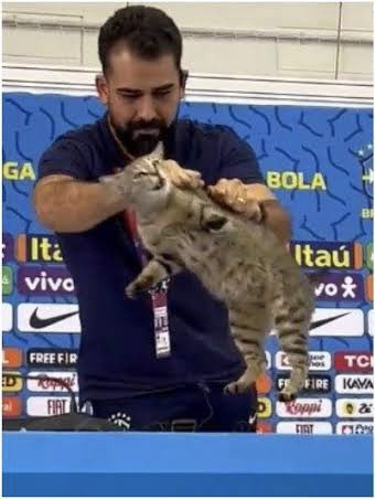 Hasta que intervino el jefe de prensa de Brasil. Sin decir una palabra, agarró al gato del cuello y lo tiró al piso.
La imagen dio la vuelta al mundo.