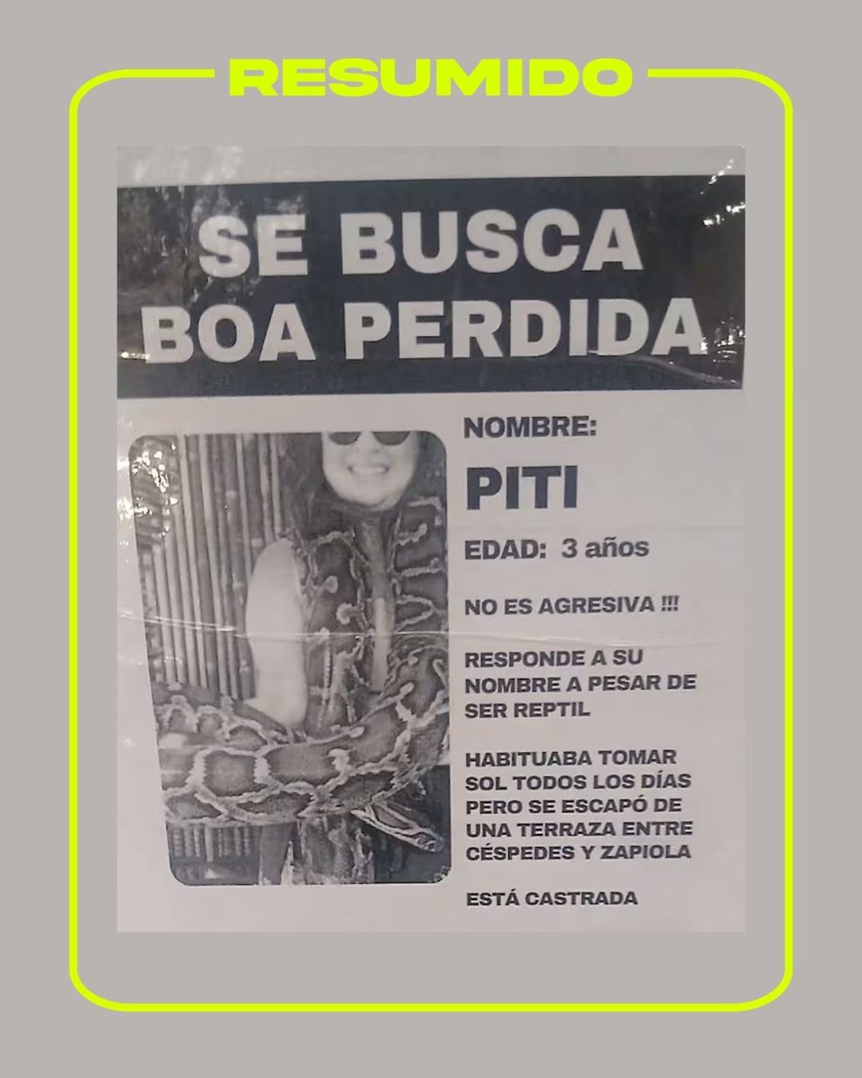 Un paseador de perros inventó la pérdida de una boa de 3 metros en Colegiales para promocionar su trabajo como paseador de perros
La historia se viralizó tanto que movilizó a las autoridades y ahora