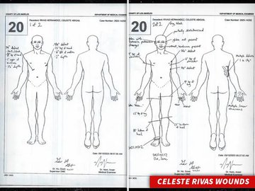 En el baúl delantero encontraron restos humanos dentro de bolsas
El 16 de septiembre fueron identificados mediante registros dentales: eran de Celeste
La autopsia determinó que murió por dos heridas