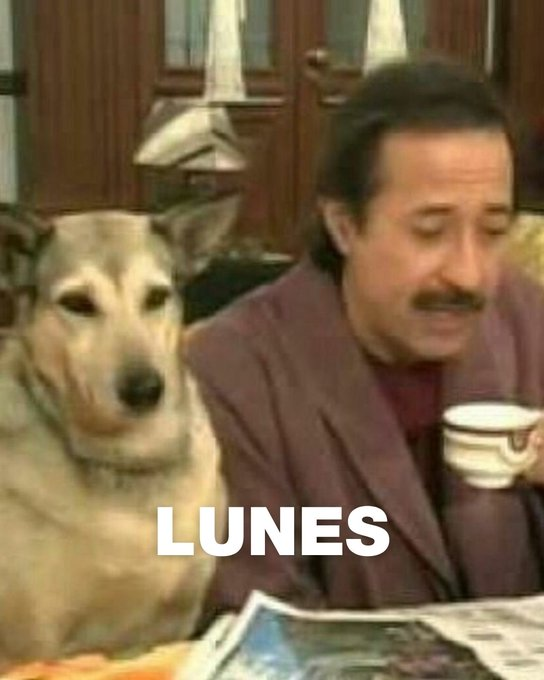 Otra vez lunes

Te resumimos las noticias del día 👇