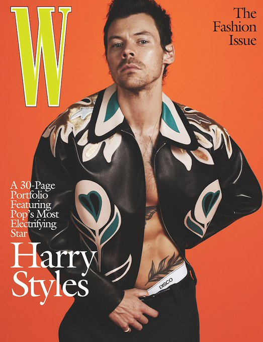 Harry Styles en la portada de W Magazine