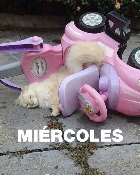 Miércoles y no damos más
Te resumimos las noticias del día 👇