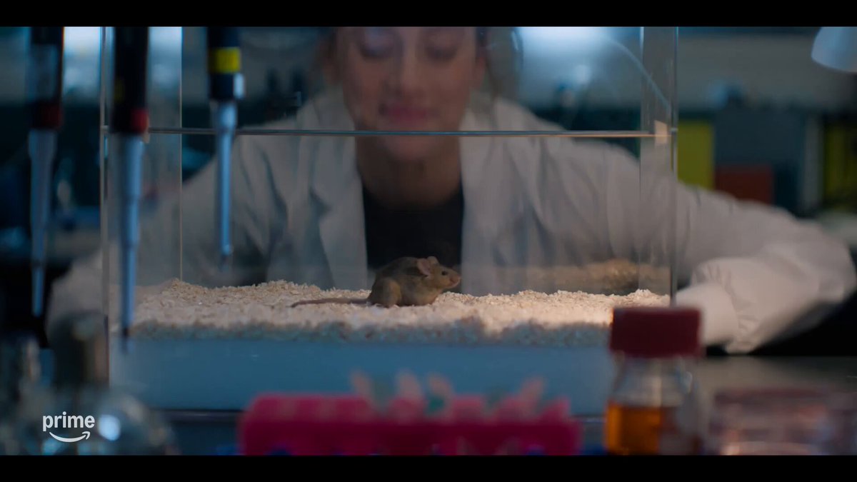 Salió el tráiler oficial de "THE LOVE HYPOTHESIS" con Lili Reinhart y Tom Bateman

🎥 Se estrena el 23 de septiembre