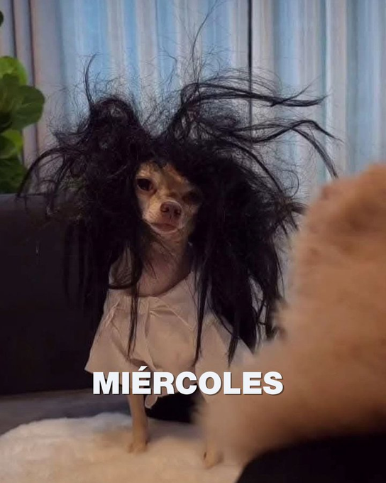 Miercoles y todavia faltan dos días de la semana

Te resumimos las noticias del día 👇