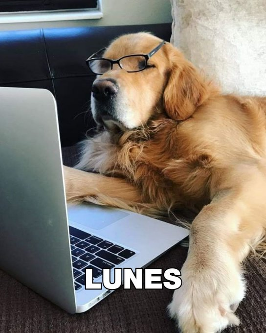 Lunes otra vez
Te resumimos las noticias del día 👇
