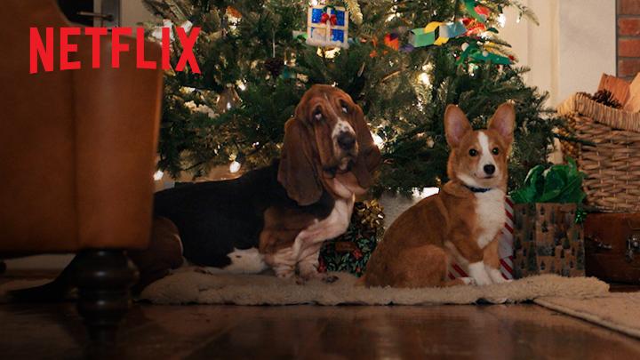 Salió el tráiler de la película 'La razón de estar contigo: Una Navidad perfecta', que se estrenará el próximo 4 de noviembre