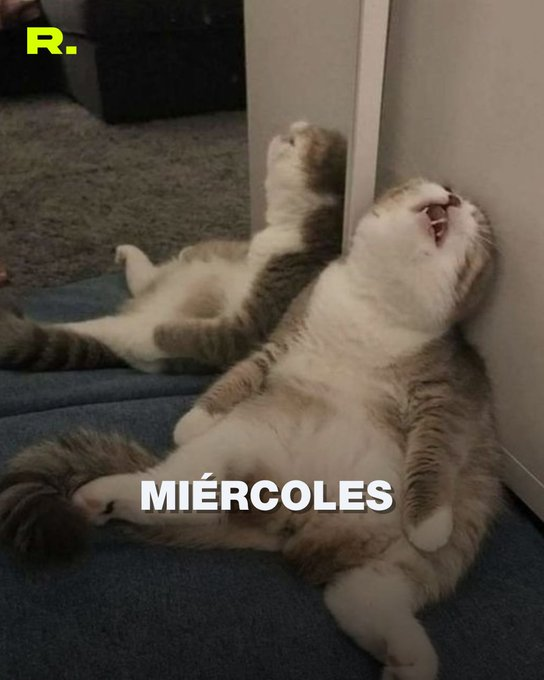 Miercoles casi jueves, casi finde  

Te resumimos las noticias del día